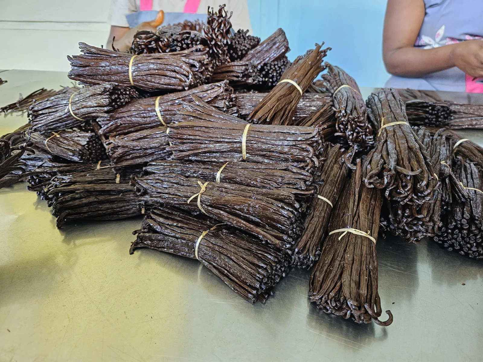 Cured vanilla beans grouped in the supply chain