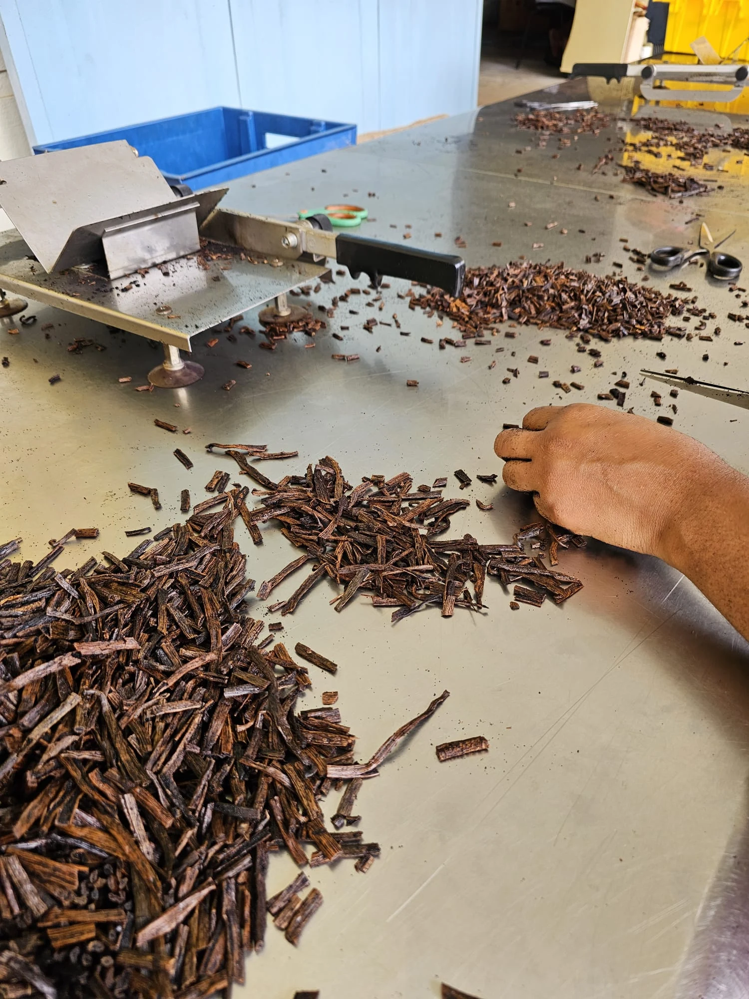 A business moving towards processing, supply chain photograph